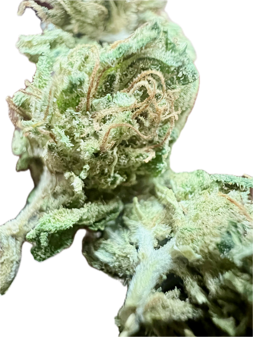 Ripkitty Sour Brûlée CBD Hemp Flowers