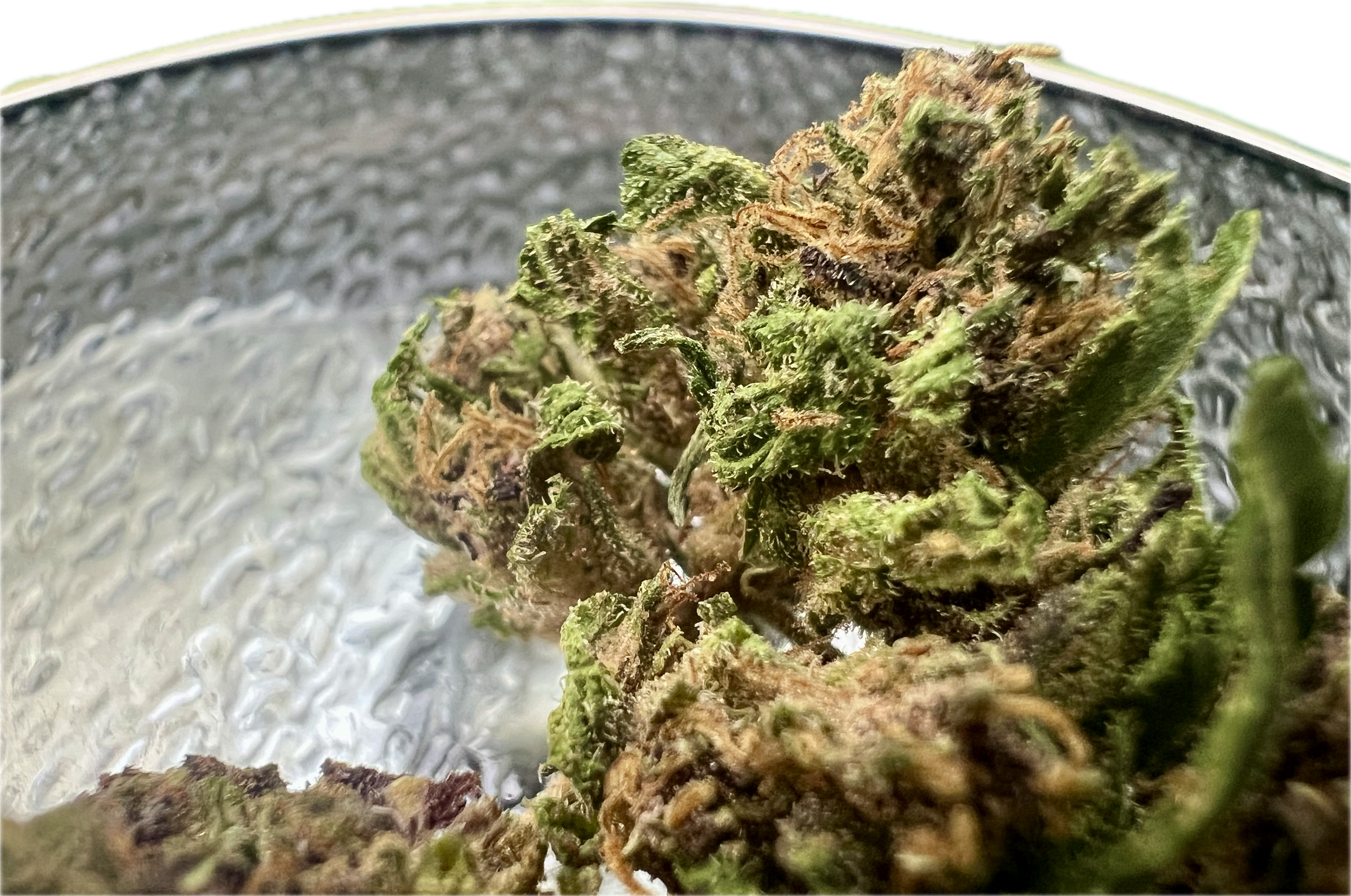 Ripkitty Legendary Platinum OG CBD Hemp Flowers