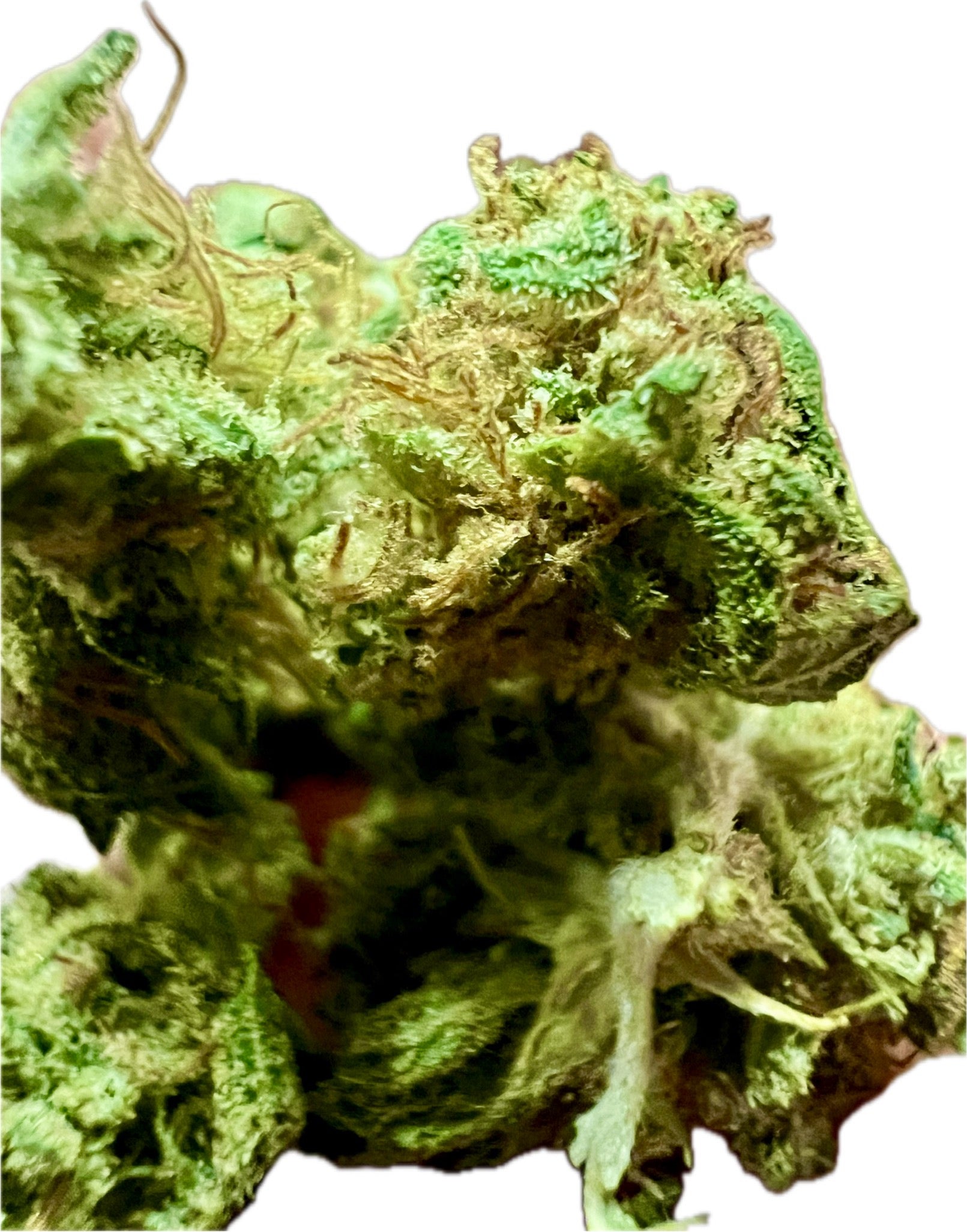 Ripkitty Sour Brûlée CBD Hemp Flowers