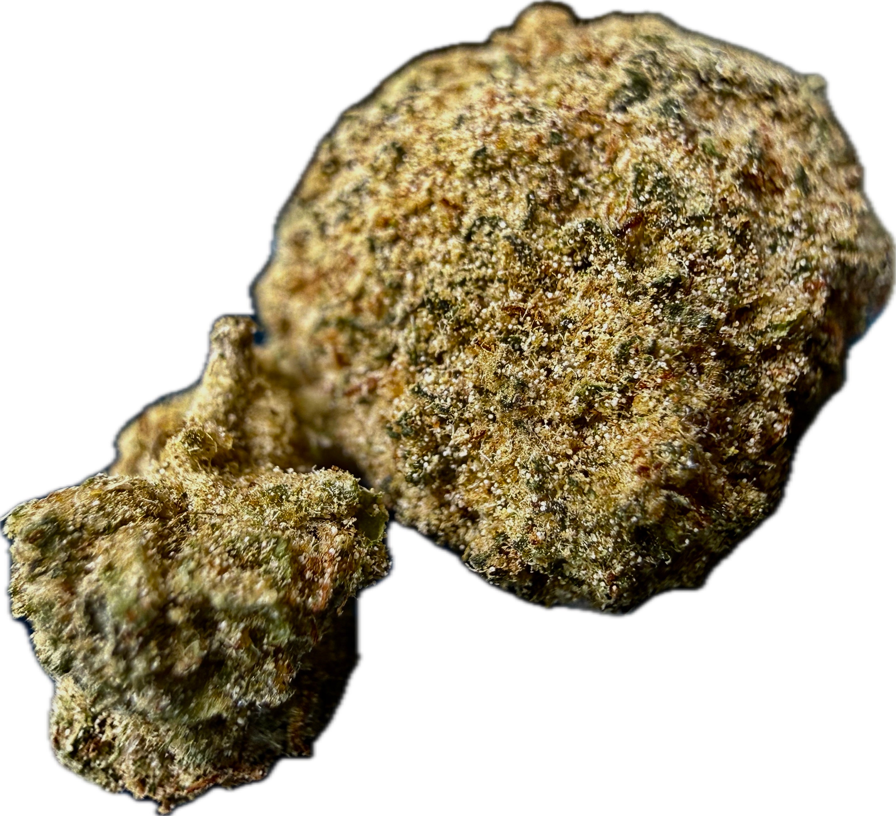 Two Ripkitty Elk Paccio Delta-8 moonrock nugs — large nug (right) and small nug (left) showing thick golden-brown kief coating over green calyxes with amber pistils, white background