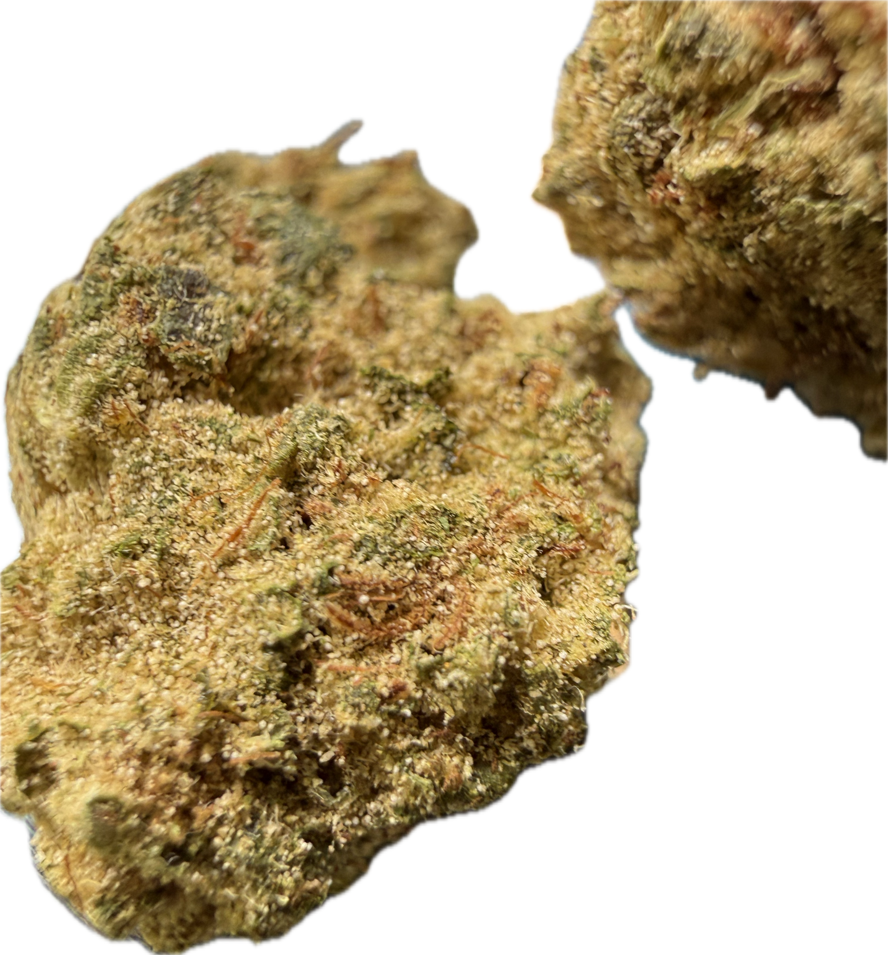 Ripkitty Pineapple Sangria Delta-8 hemp flower — extreme macro close-up of two nugs showing golden trichome-coated calyxes with rust-amber pistils and dense bud structure, white background
