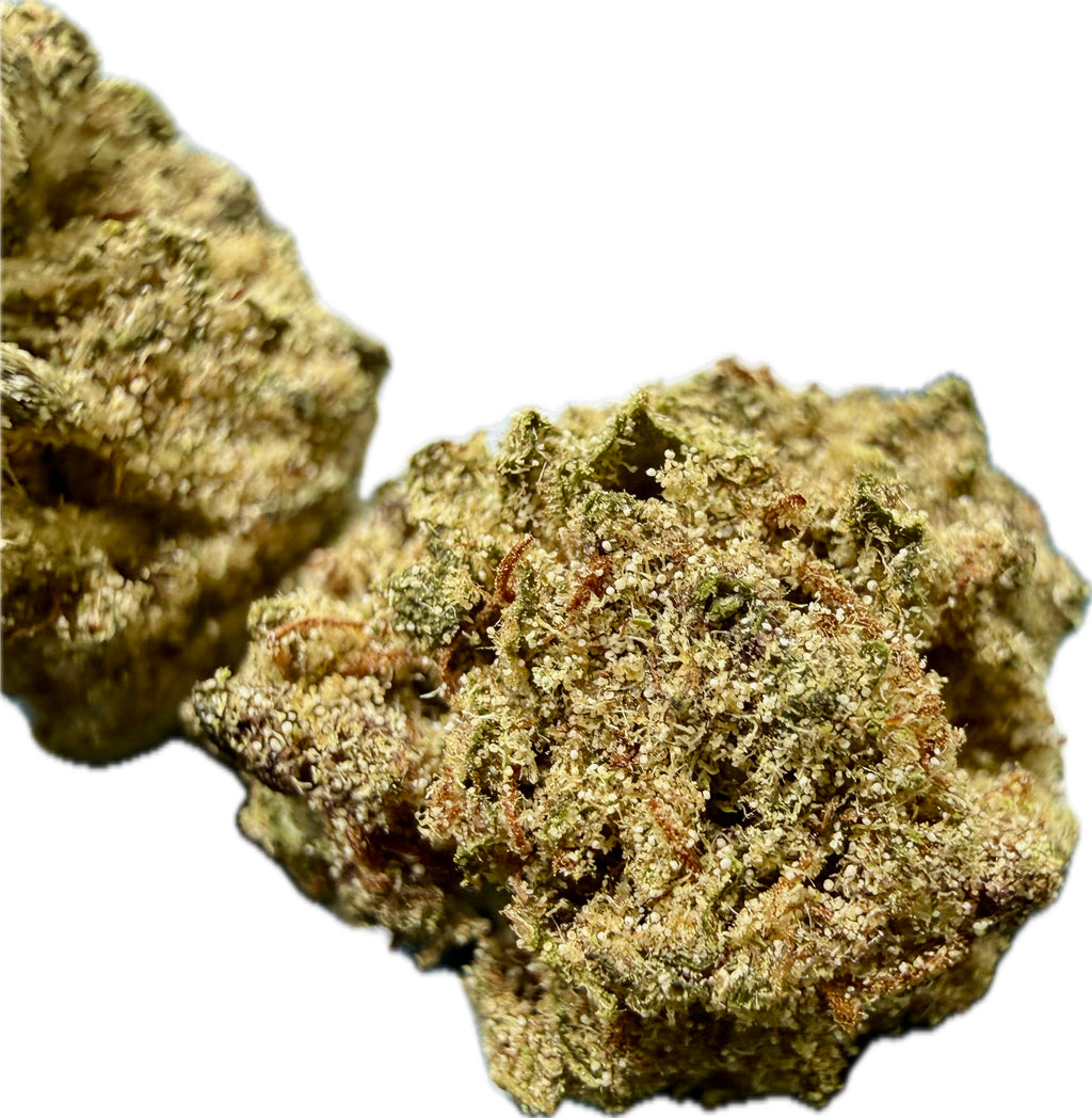 Ripkitty Pineapple Sangria Delta-8 hemp flower — two nugs side by side showing olive-green and golden trichome-coated calyxes with prominent rust-amber pistils, close-up macro view, white background