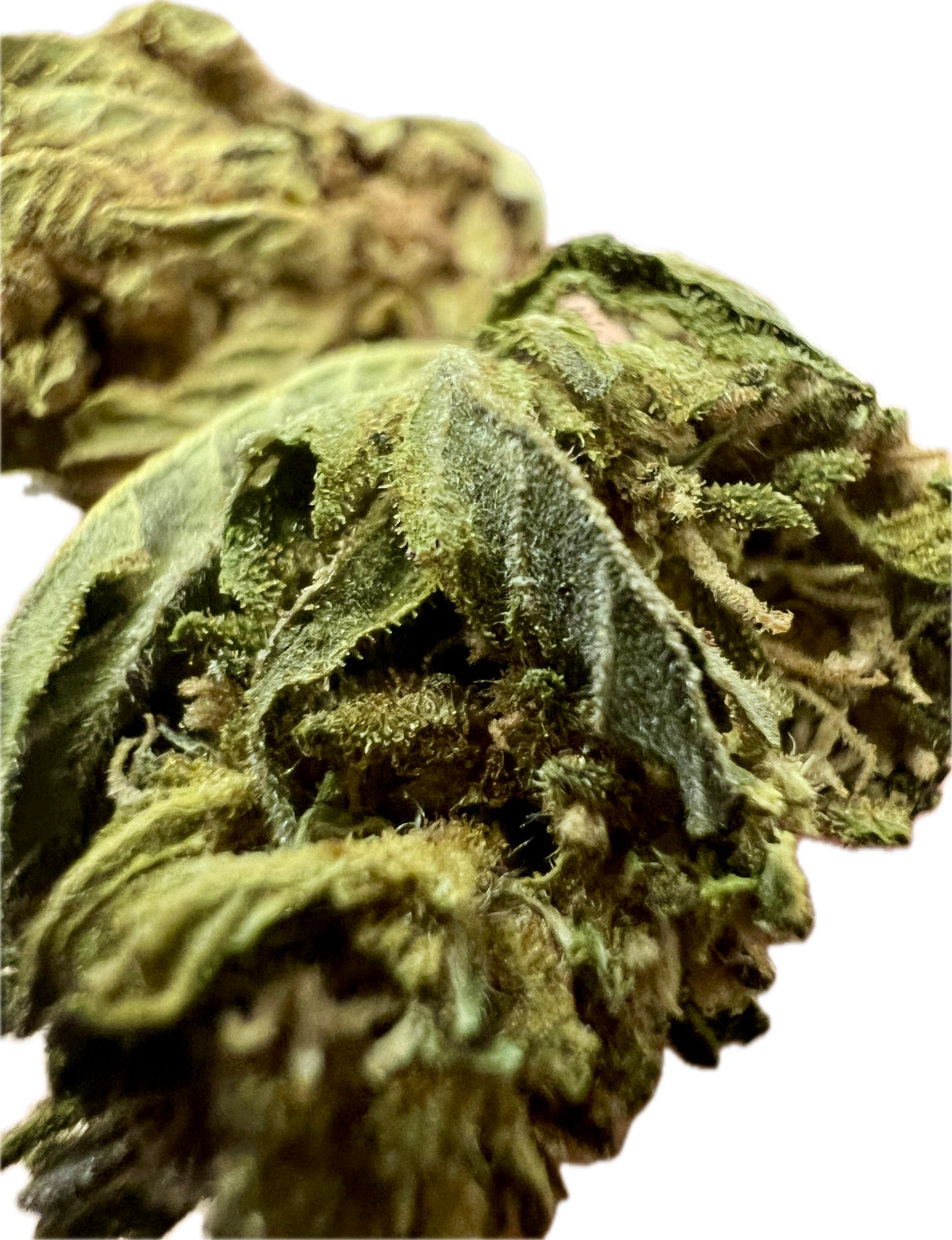 Ripkitty Mixed THCA Hemp Flowers
