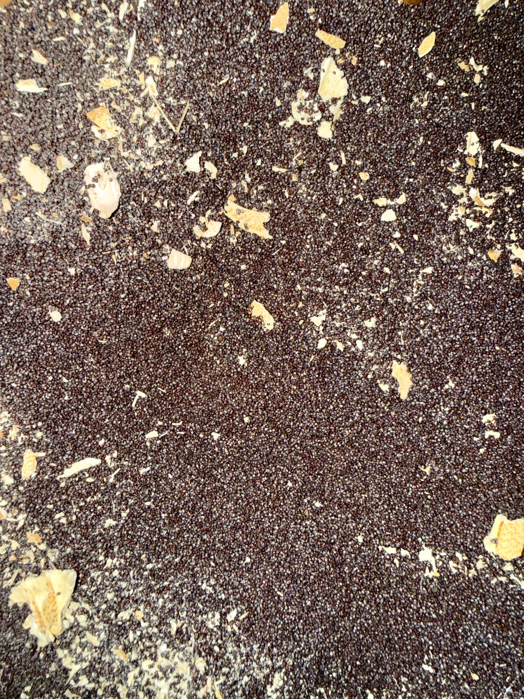 Ripkitty Premium Unwashed Untreated Unprocessed Organic Natural Whole Raw Papaver Somniferum Culinary Poppy Seeds