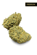 Ripkitty Cream Puff Flower