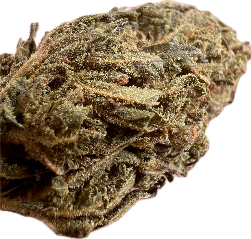 Ripkitty Jungle Driver THCA Hemp Flowers