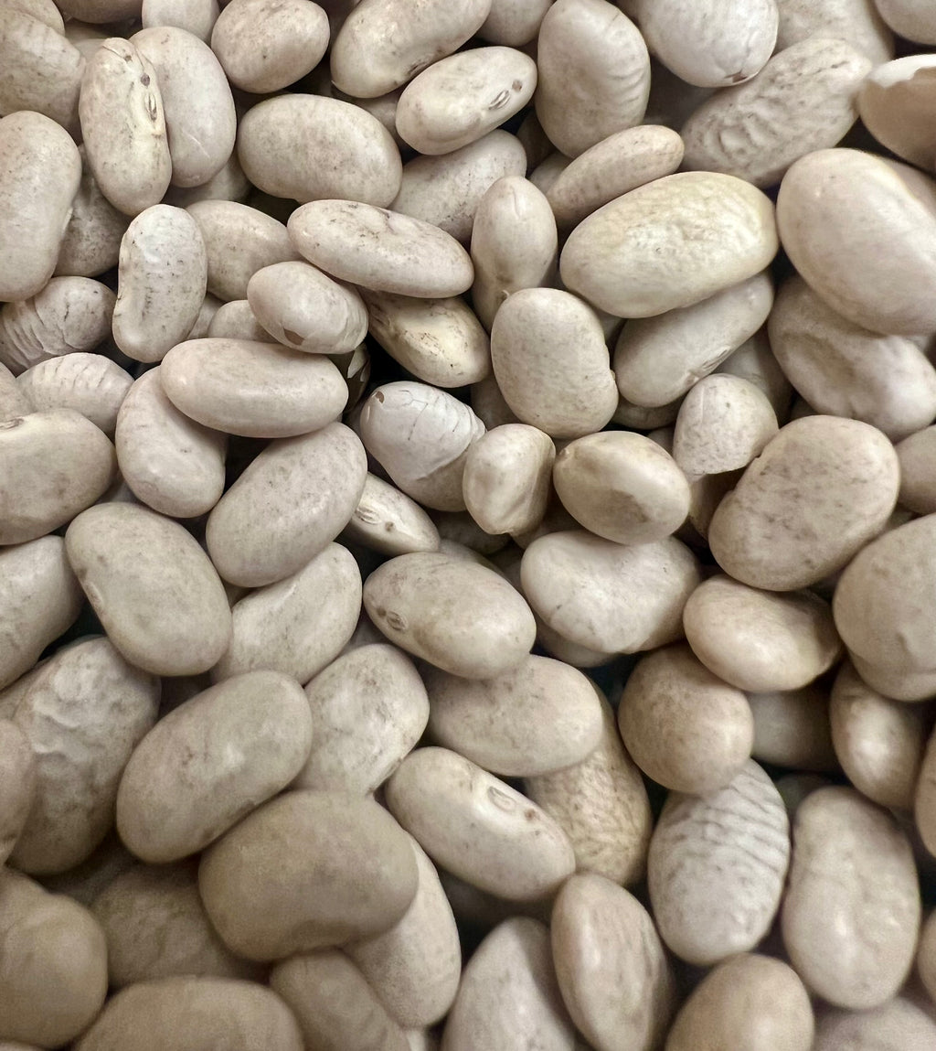Ripkitty White Beans “Cannellini” Seeds Grow Your Own