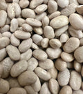 Ripkitty White Beans “Cannellini” Seeds Grow Your Own