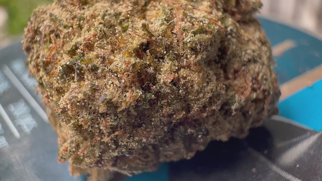 Ripkitty Strawberry Fritters Delta-8 hemp flower — 360° display video showing large dense nugs with warm golden-tan trichome coating over olive-green calyxes and amber pistils