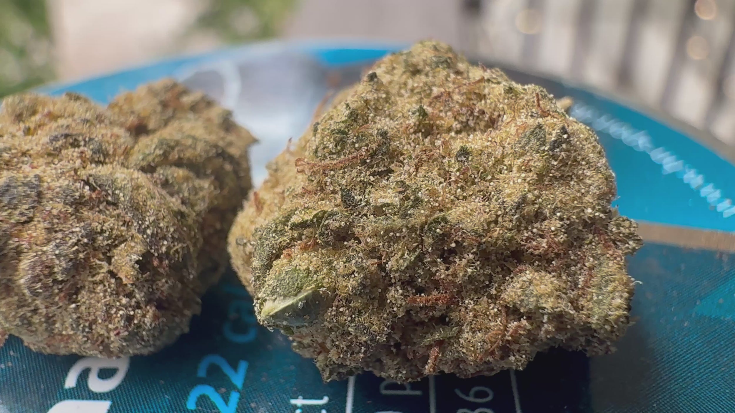 Ripkitty Angel Cake Delta-8 hemp flower moonrock — 360° display video showing thick golden kief and concentrate coating over dense green calyxes, amber pistils, and heavy trichome crystal exterior