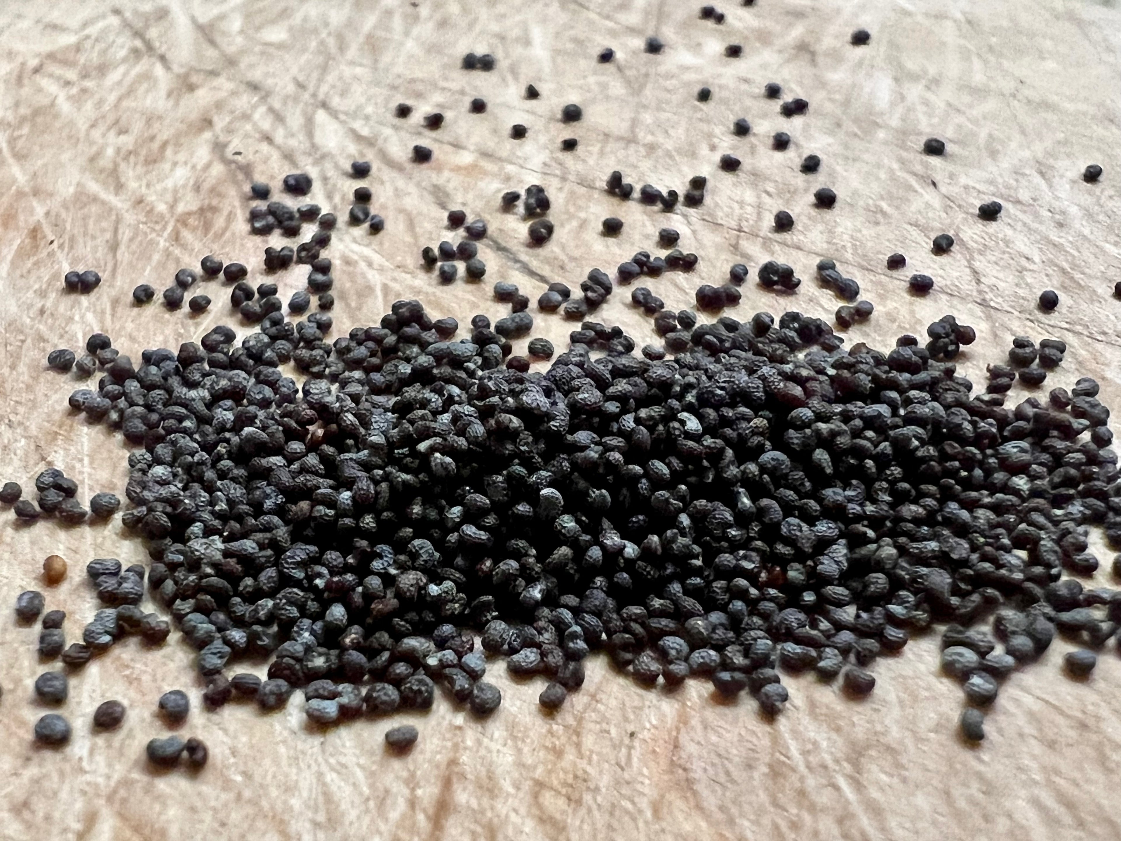 A scattering of blue and multicolor poppy seeds on a surface, with some seeds visible in the foreground and background.