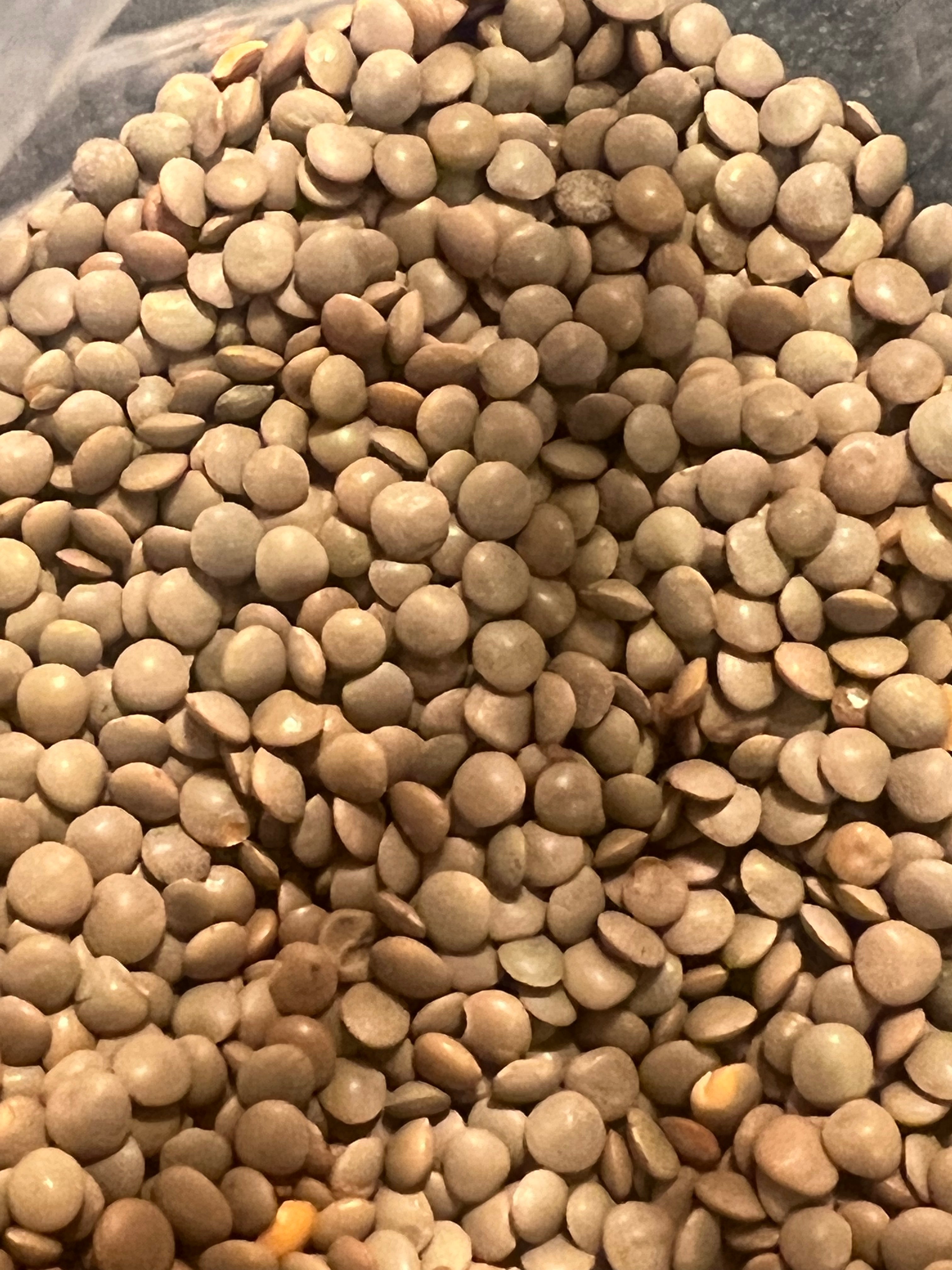 Bulk Ripkitty Masoor lentil seeds for sprouting in a clear bag — tan and light brown whole lentils piled high showing smooth rounded disc shape and natural color variation, clear bag visible at top